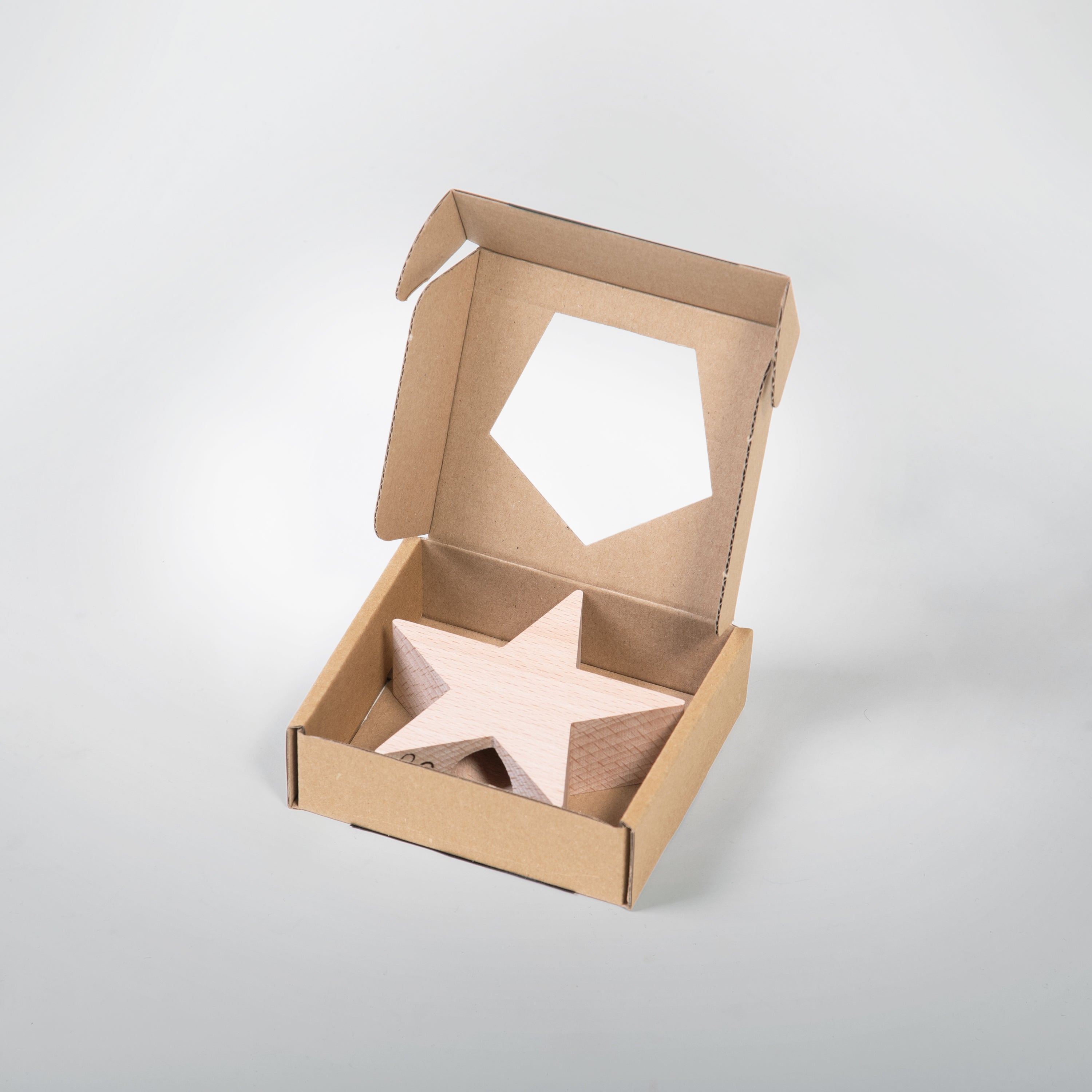 Stella decorativa per l&