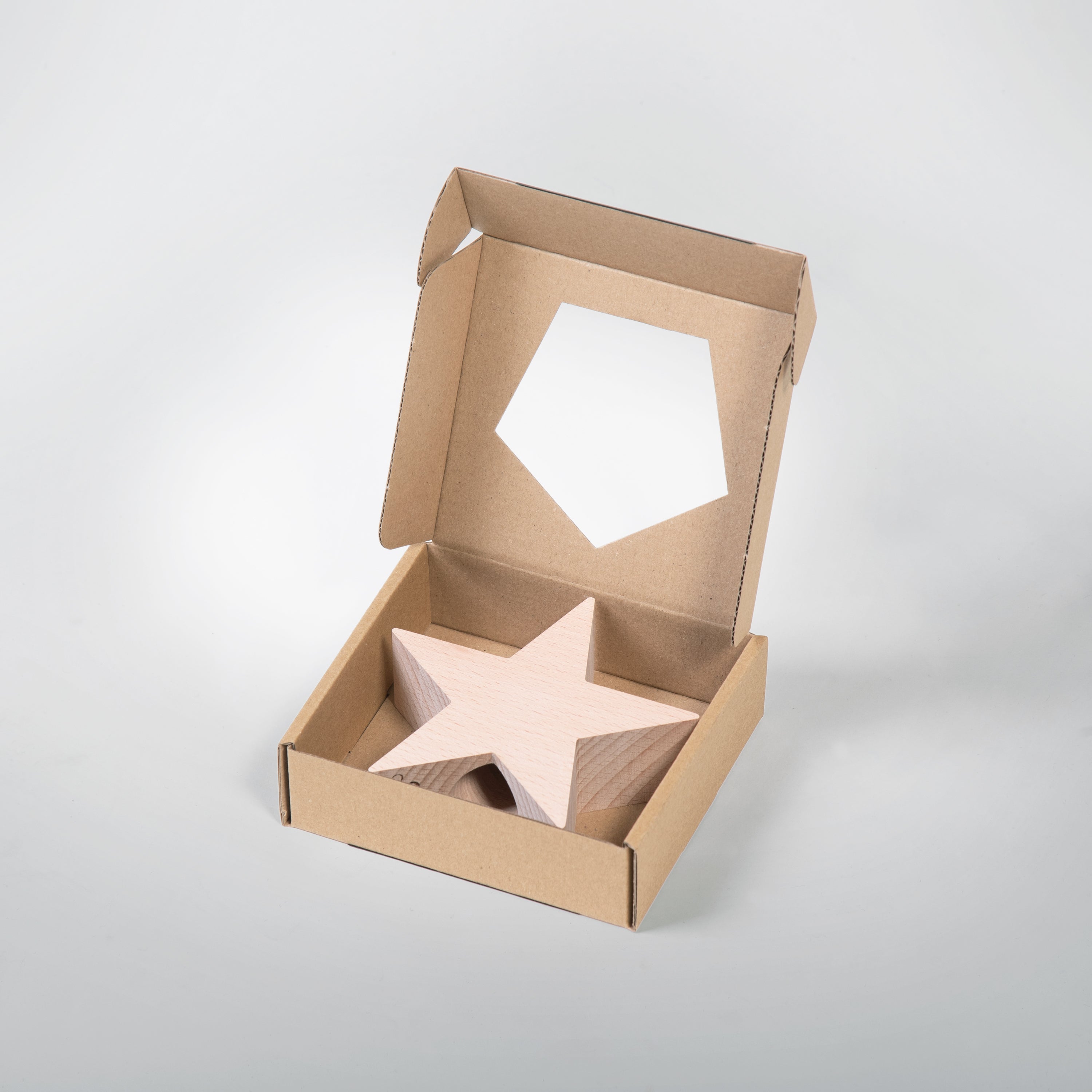 Stella decorativa per l&