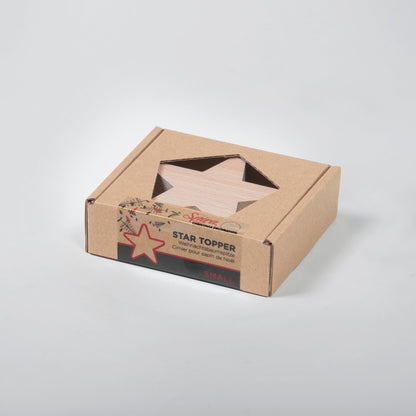 Stella decorativa per l&