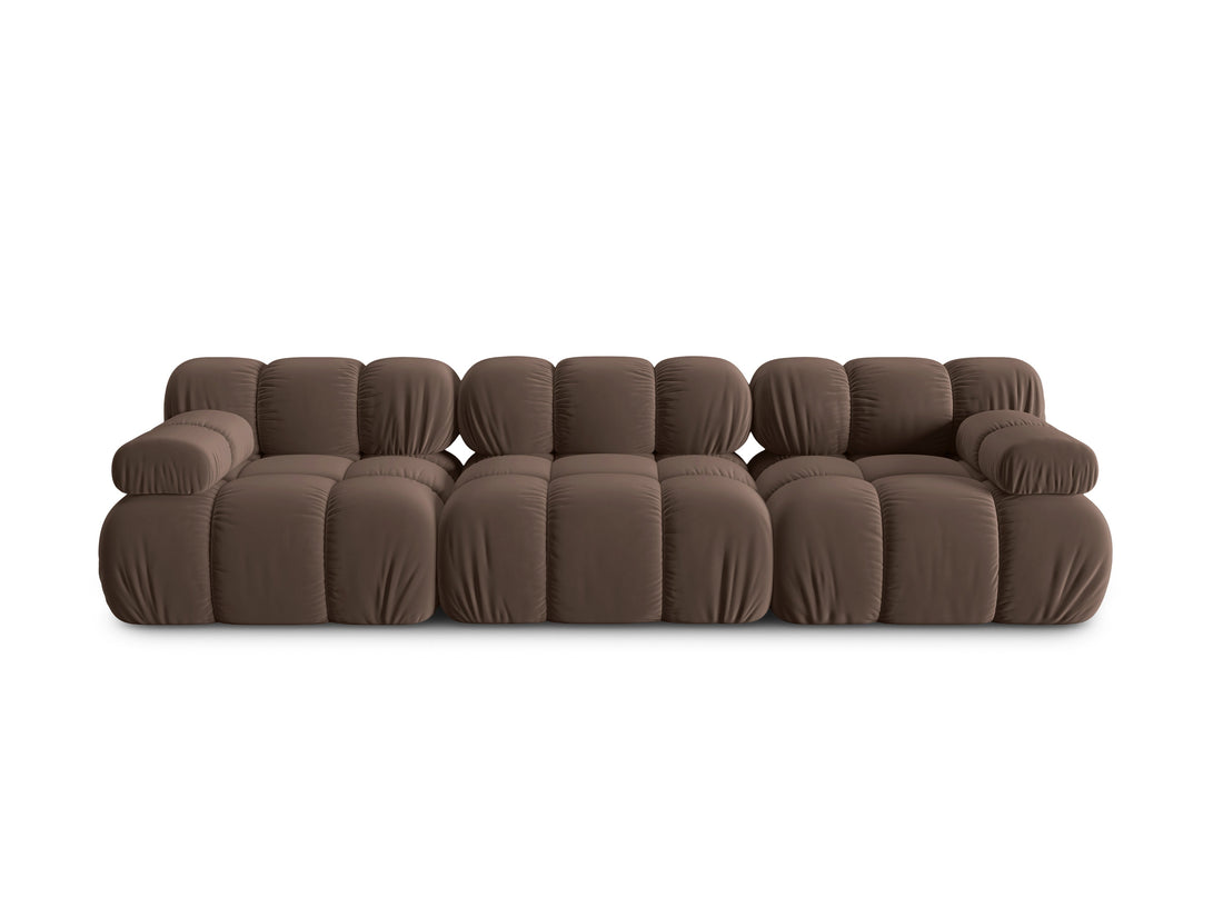 Trosed Bellis - rjava