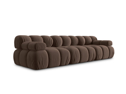 Trosed Bellis - rjava