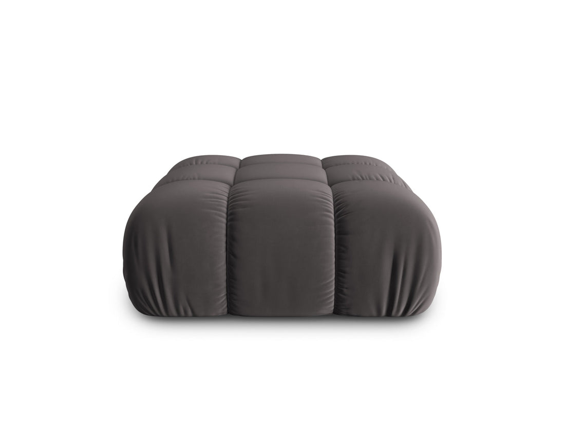 Bellis puf - temno siv
