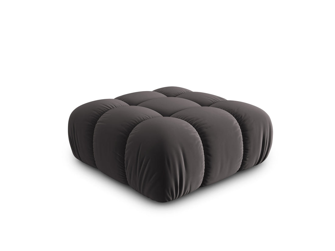 Bellis puf - temno siv