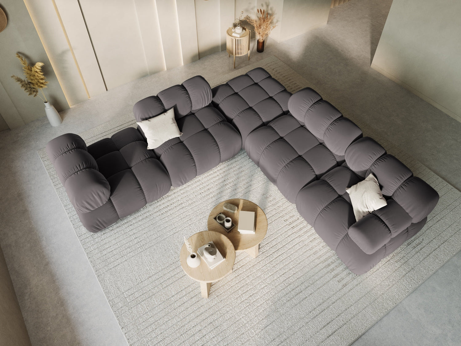 Bellis puf - temno siv