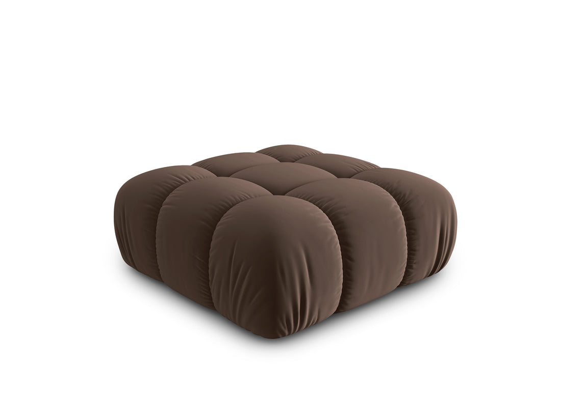 Bellis puf - rjav